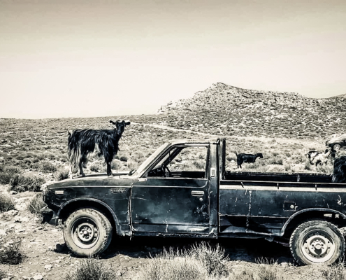 Chèvre perchée sur le capot d’un vieux pickup dans un paysage aride et montagneux de Crète, capturant un instant unique de la vie rurale.